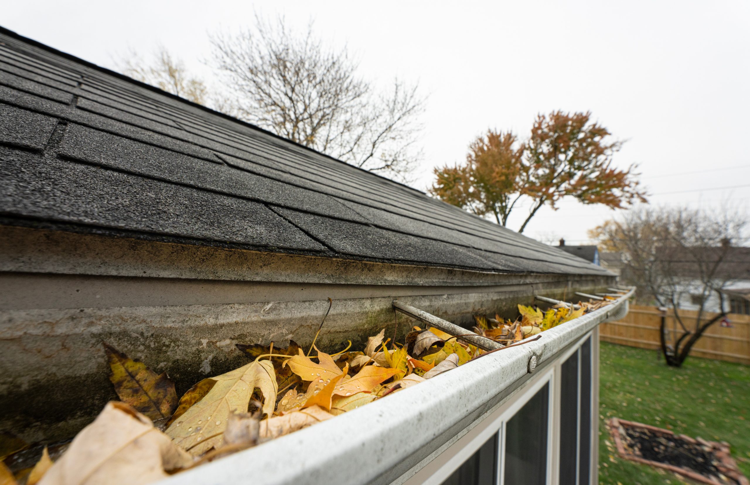 Gutter Cleaning in Cobb County, Bartow County, Cherokee County, and Paulding County